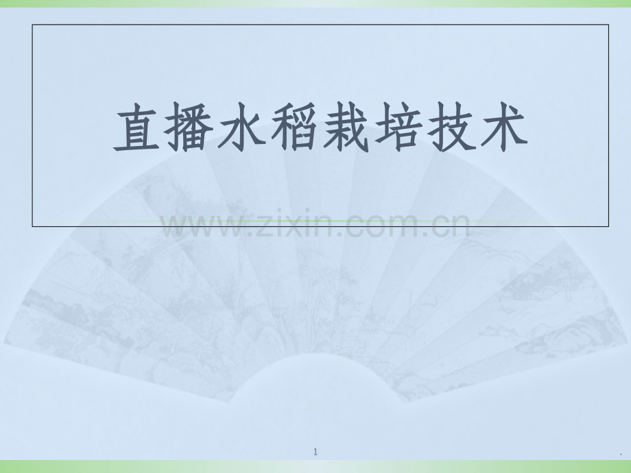直播水稻栽培技术.ppt_第1页