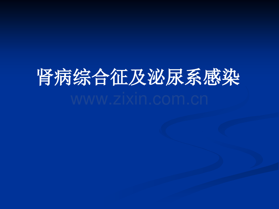 肾病综合征及泌尿系感染.ppt_第2页
