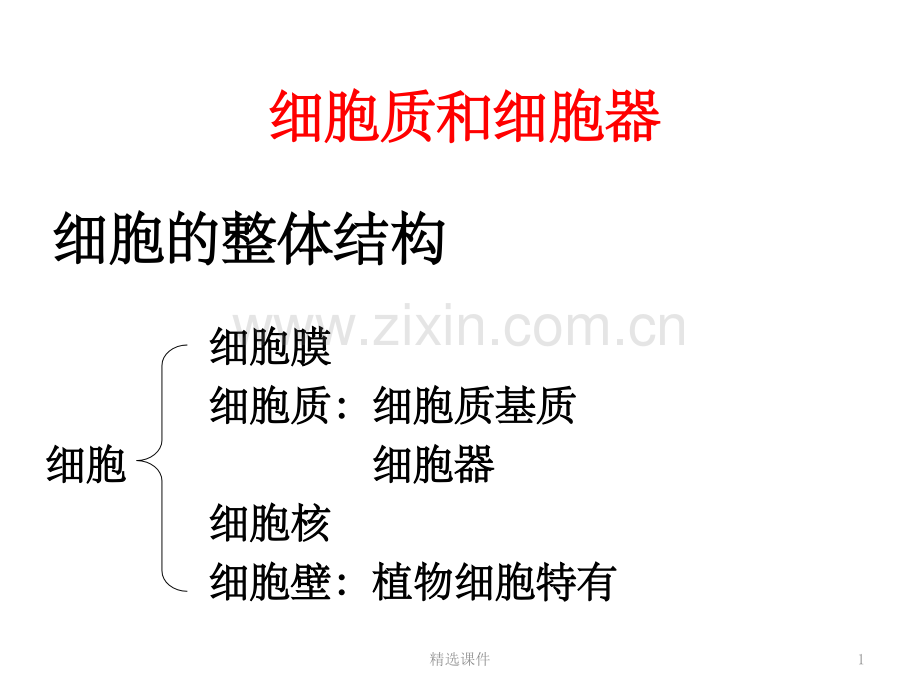 (苏教版)第三章2：细胞质和细胞器.ppt_第1页