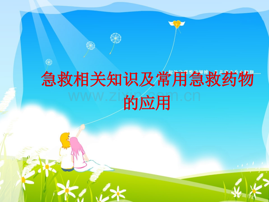 急救知识及药品.ppt_第1页