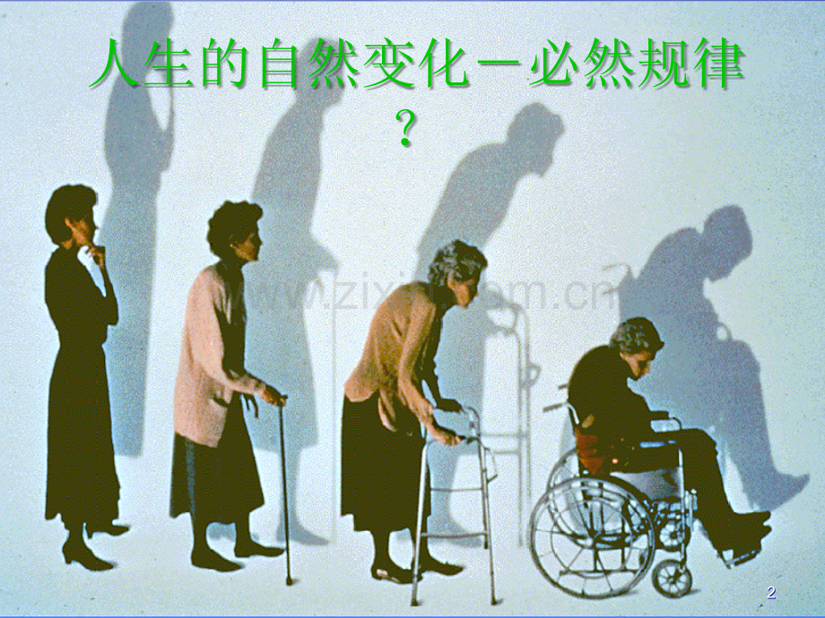 骨质疏松科普知识.ppt_第2页