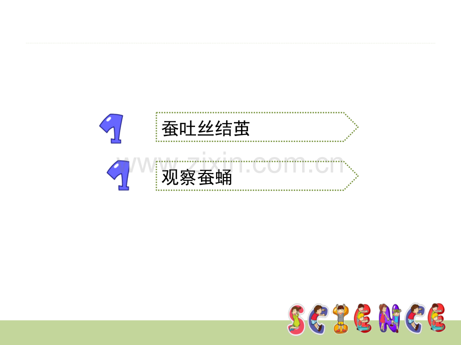 2017年三年级下册科学《蚕宝宝建新房》.ppt_第2页