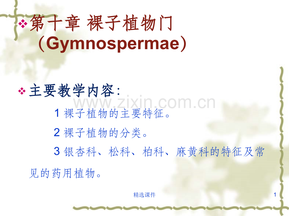 药用植物学-第10章-裸子植物门.ppt_第1页