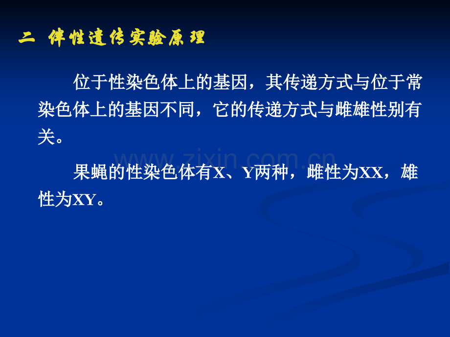 果蝇的伴性遗传杂交.pptx_第2页