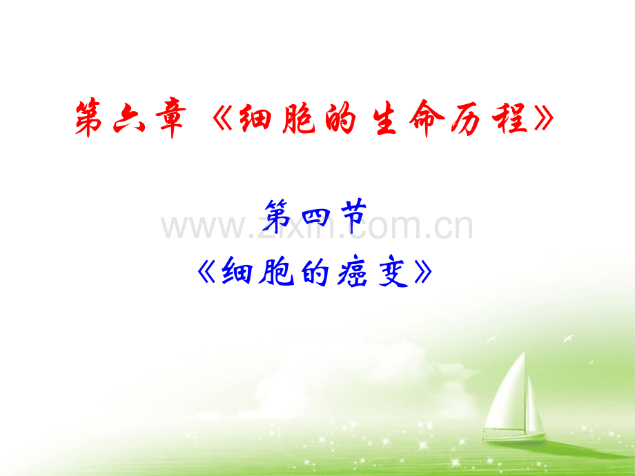 细胞的癌变教学.pptx_第1页