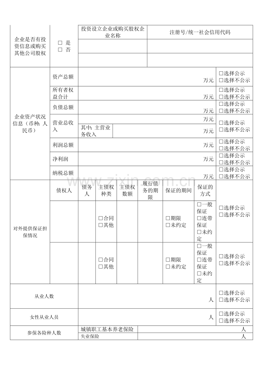 工商年报国家企业信息公示私营公司年度报告书.doc_第2页