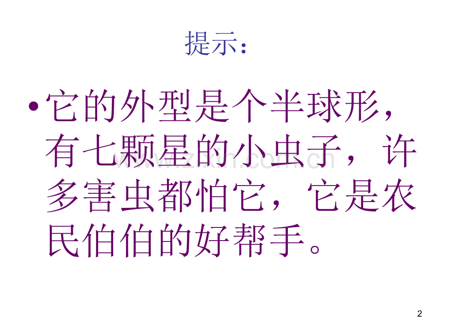 七星瓢虫.ppt_第2页