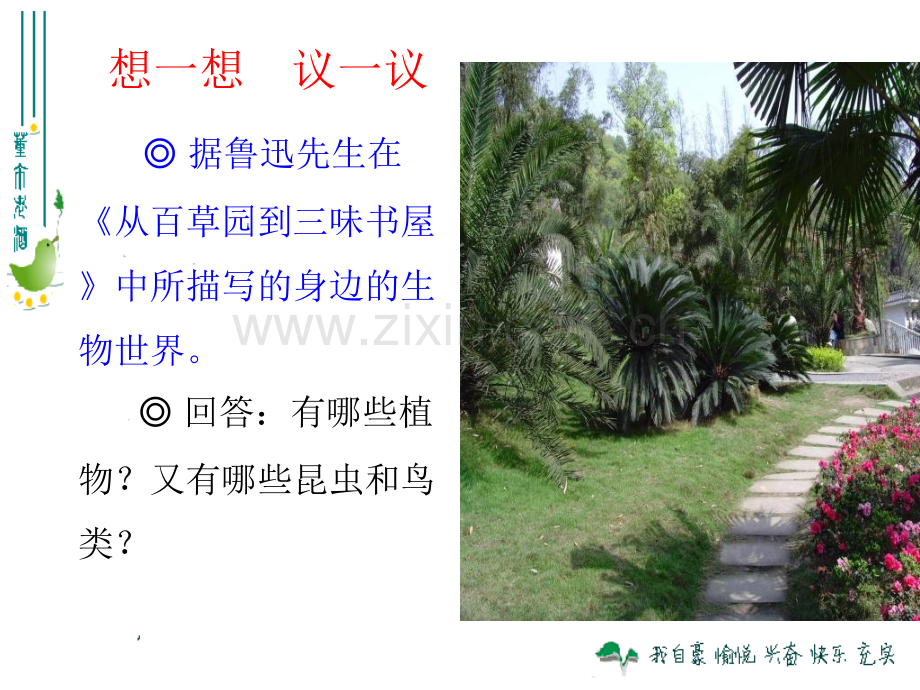 调查周围环境中的生物.pptx_第1页