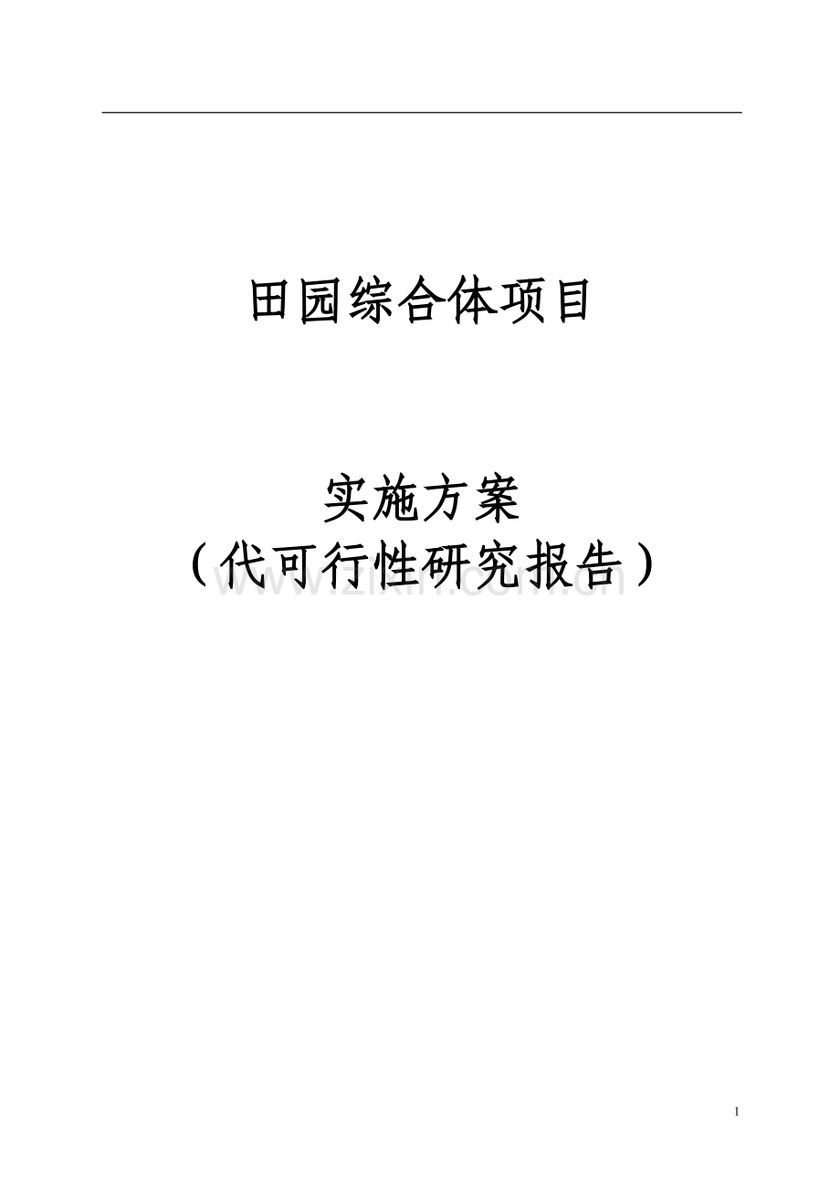 田园综合体项目实施方案.doc_第1页
