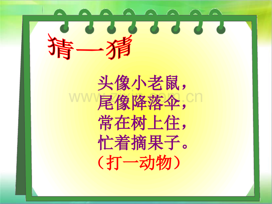 诗歌分享早安小松鼠.pptx_第2页