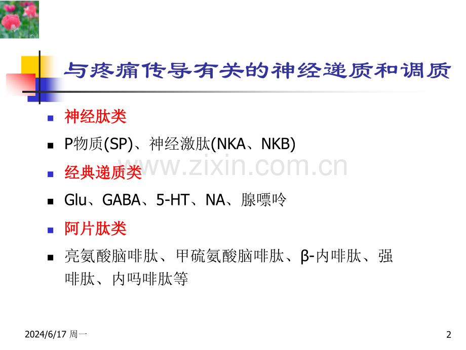 镇痛药0410.pptx_第2页