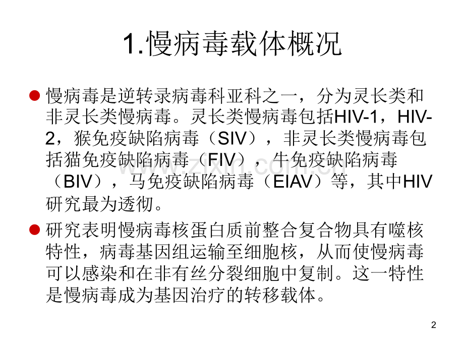慢病毒简介.pptx_第2页