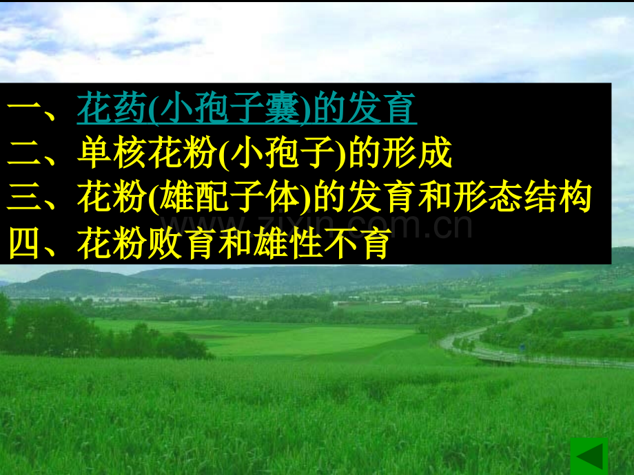 花药的发育和花粉粒的形成.pptx_第2页