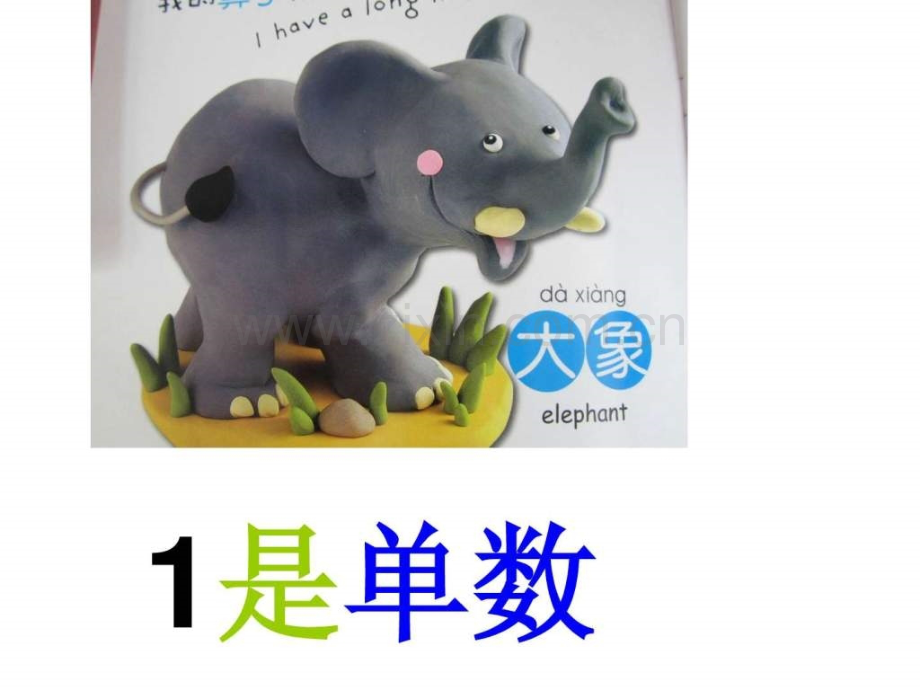 认识单双数教育活动3.pptx_第1页