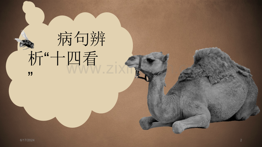 病句的综合分析(含标点)课件PPT.ppt_第2页
