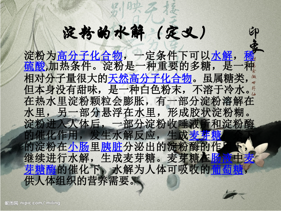 淀粉的水解定义.pptx_第1页