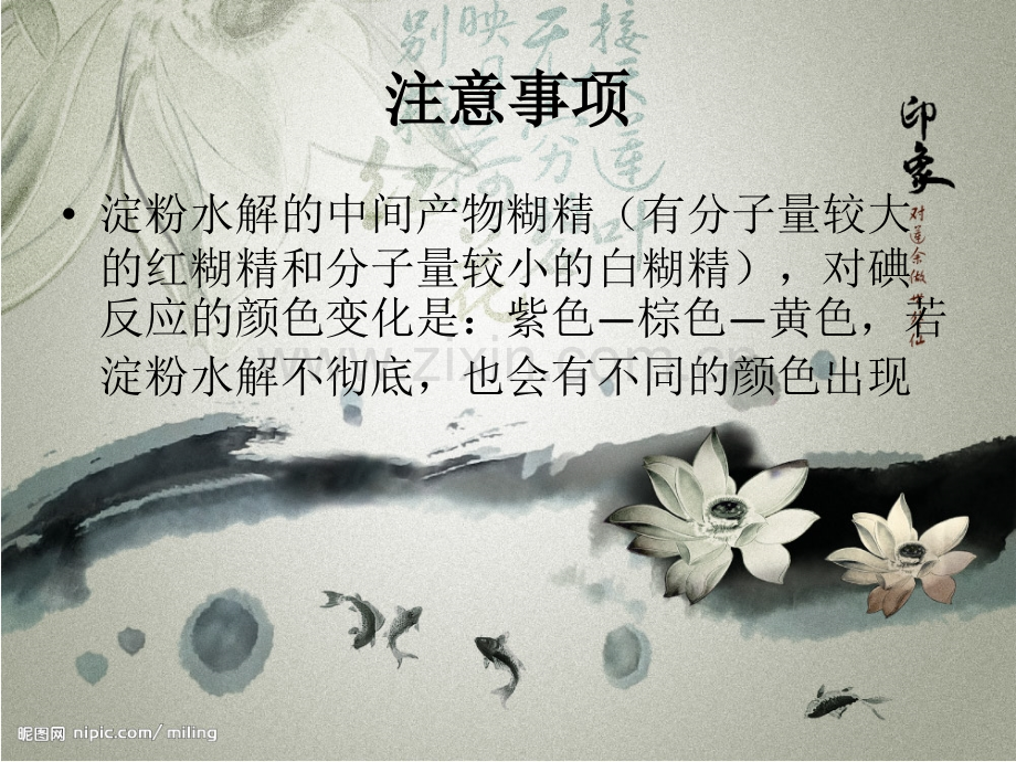 淀粉的水解定义.pptx_第2页