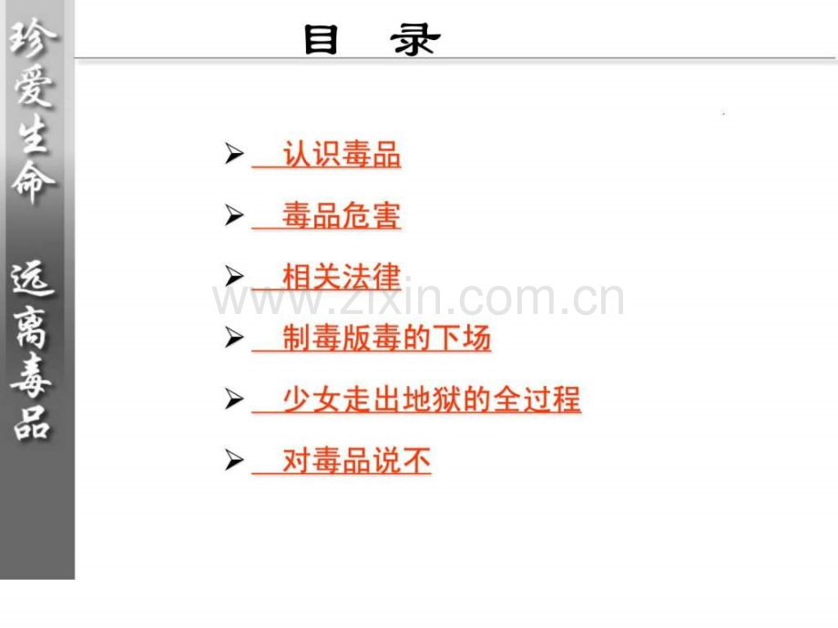 认识毒品远离毒品图文.pptx_第2页