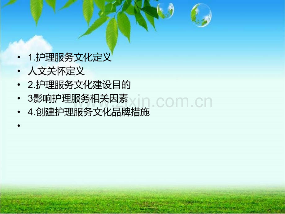 护理服务文化和人文关怀.pptx_第2页