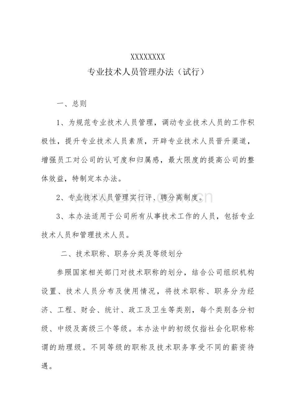 专业技术人员管理办法.doc_第1页