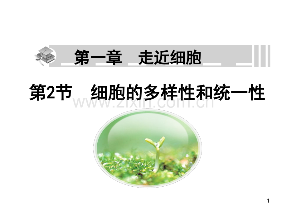细胞的多样性和统一性(课堂PPT).ppt_第1页