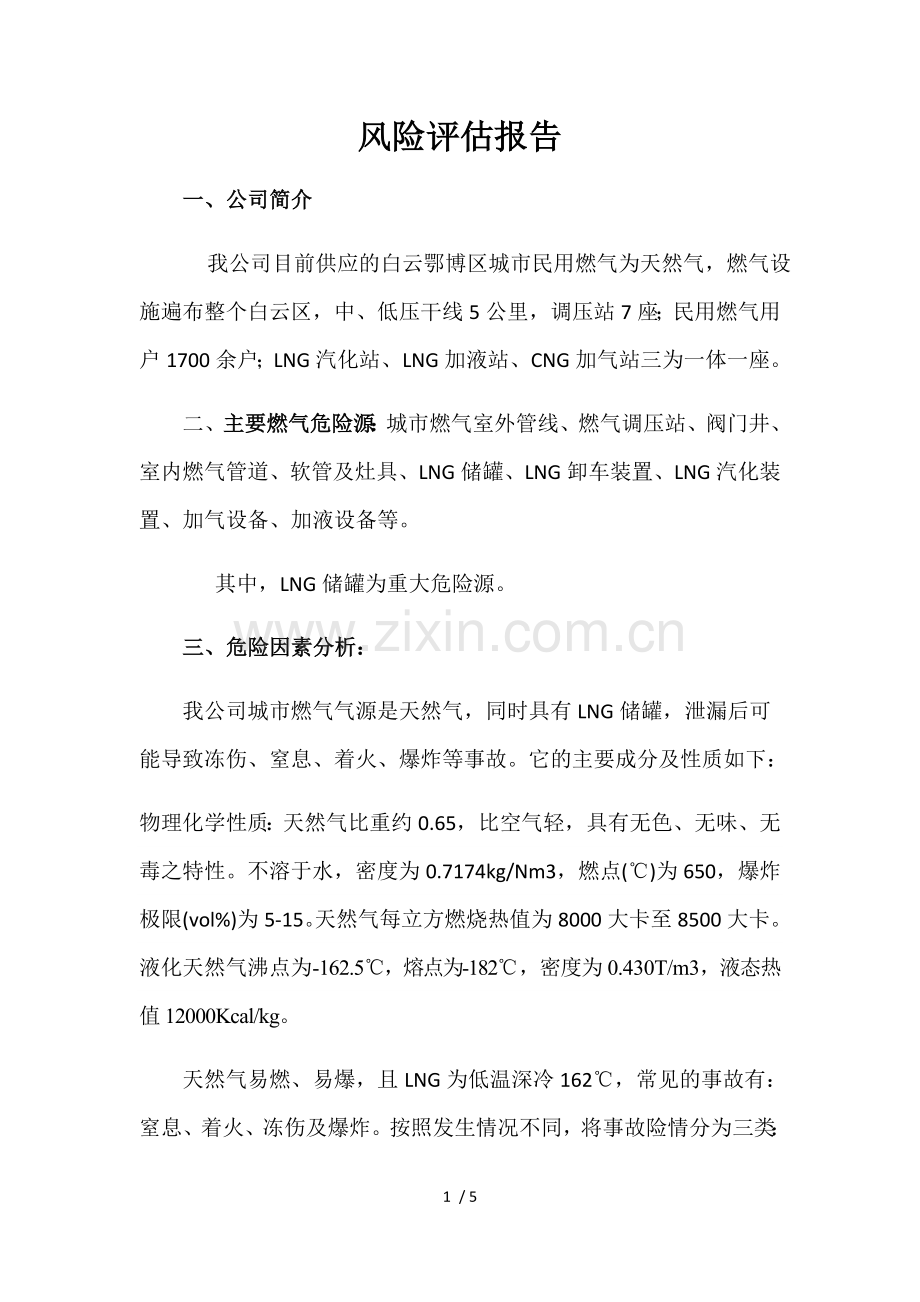 城镇天然气-风险评估报告.doc_第1页