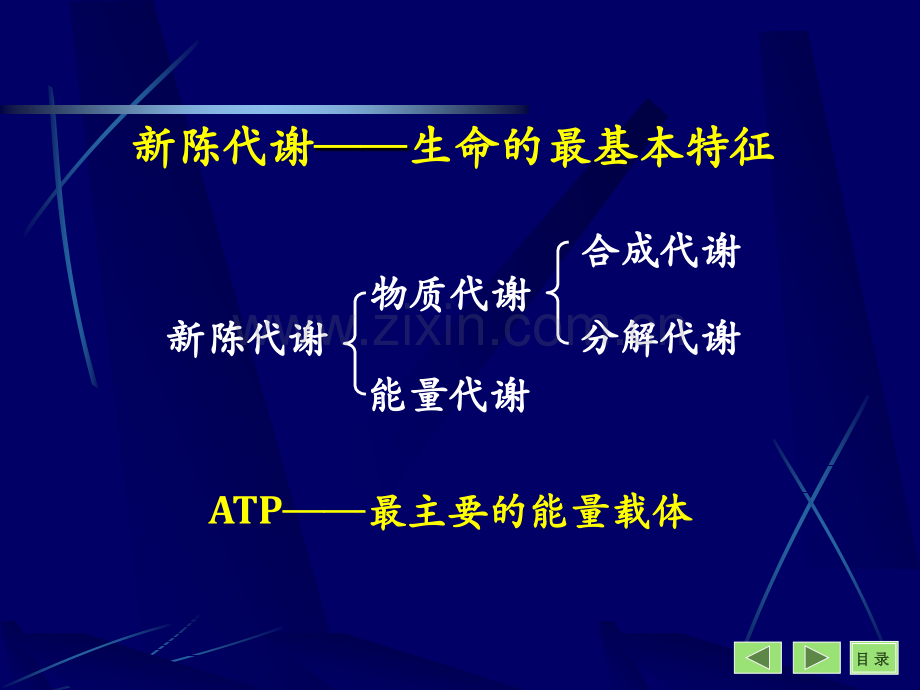 生物化学-糖代谢(课堂PPT).ppt_第2页