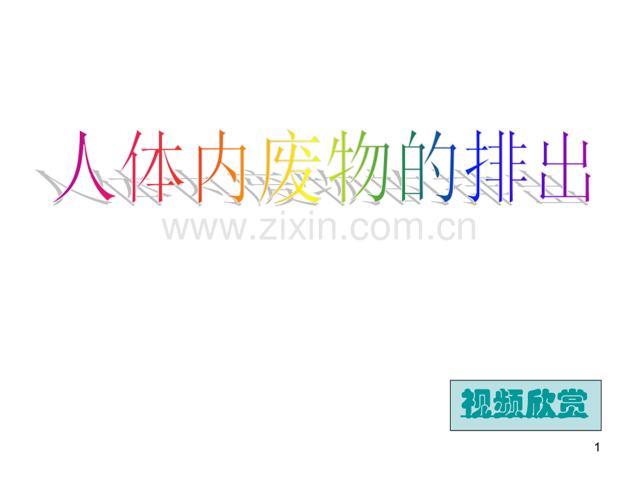 人体内废物的排出(优质课).ppt_第1页