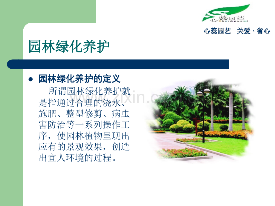 绿化养护资料.pptx_第1页