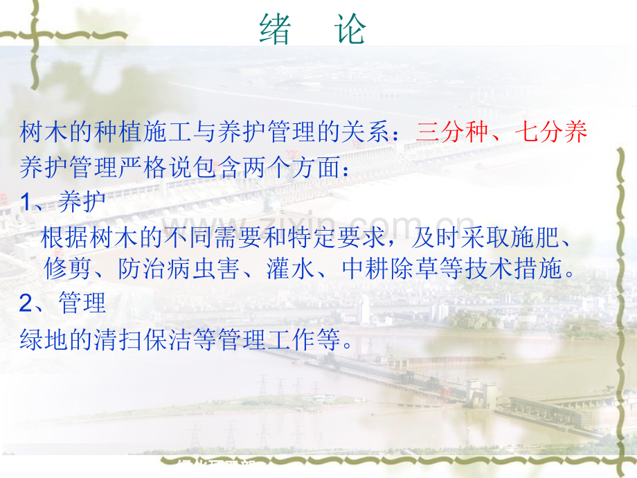 绿化养护基础.pptx_第2页