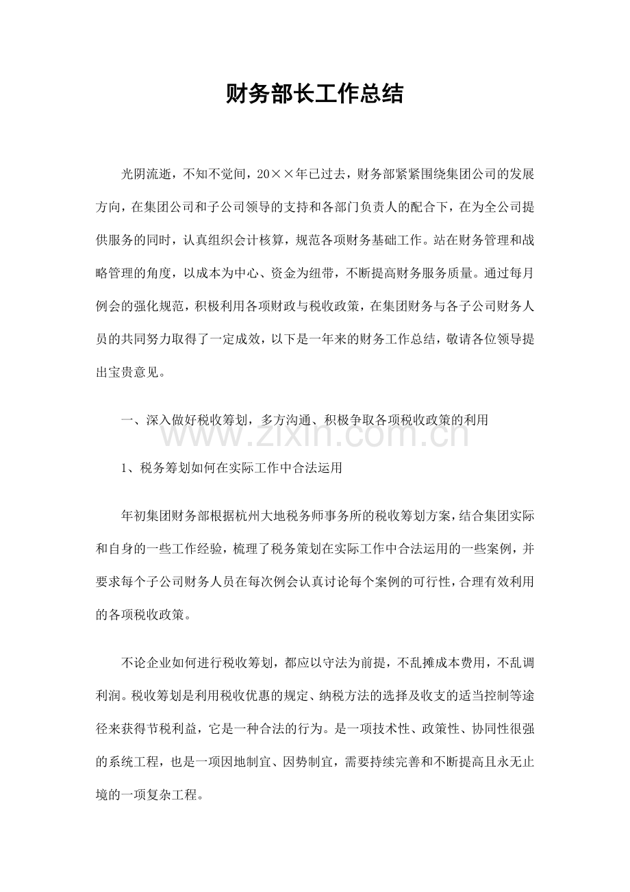 财务部长工作总结.doc_第1页