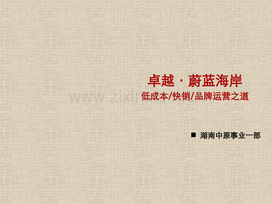 文案卓越蔚蓝海岸低成本快销及品牌运营之道.pptx_第1页
