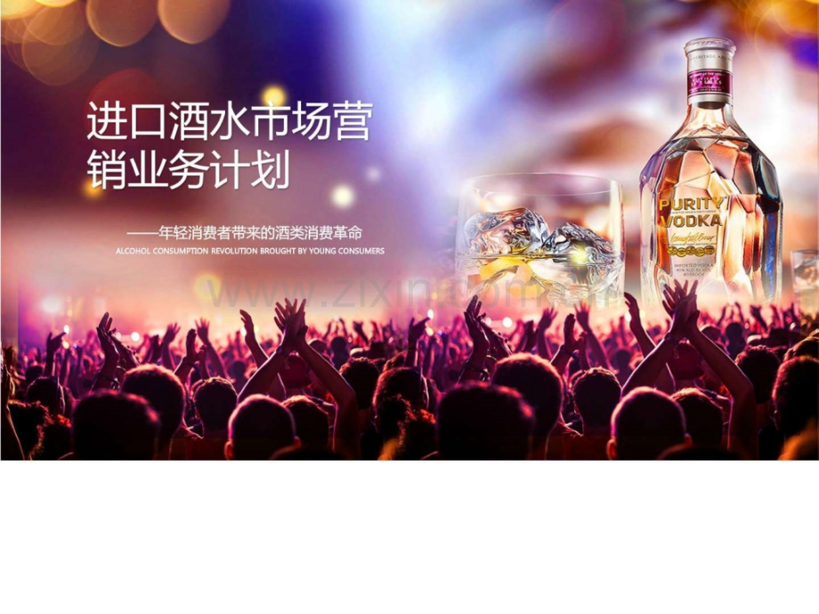 进口酒水市场营销业务计划.pptx_第1页