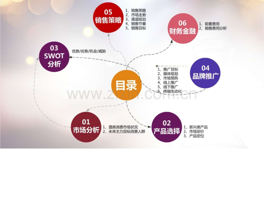进口酒水市场营销业务计划.pptx_第2页