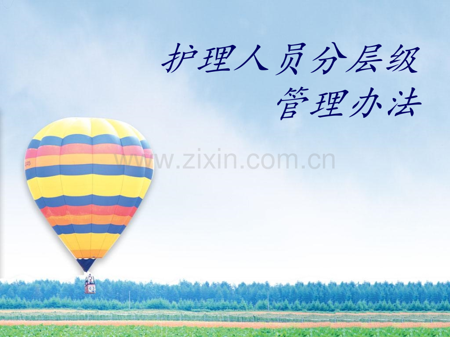 护理人员分层级.pptx_第1页