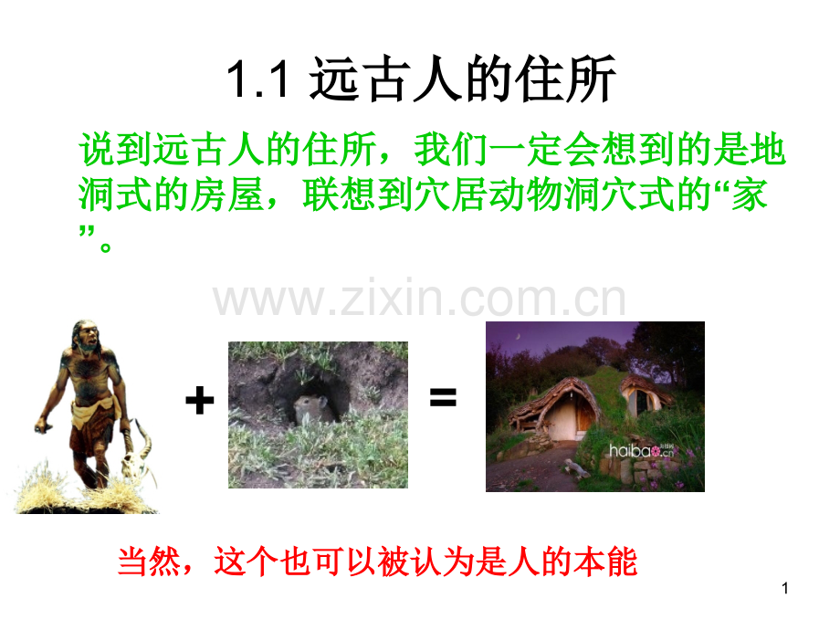 建筑高与仿生.pptx_第1页