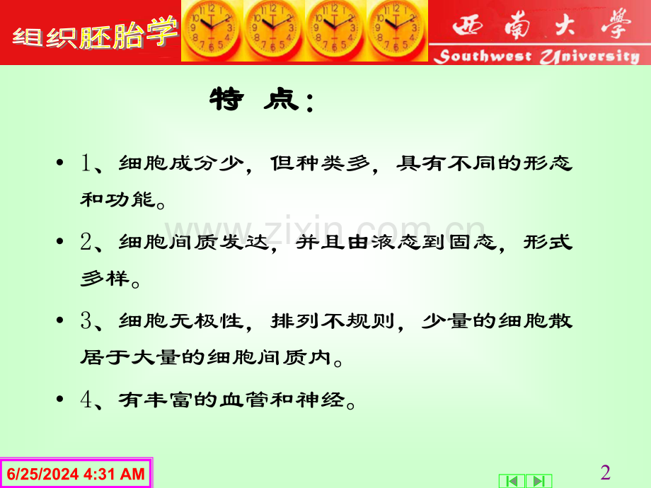 结缔组织35学时-2.pptx_第2页