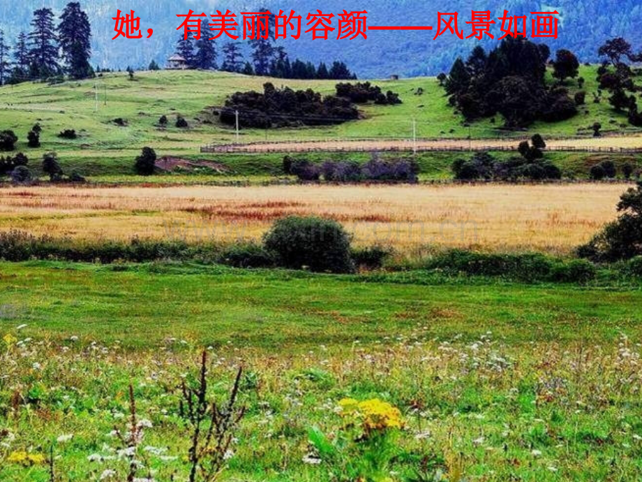 可爱的中国修改.pptx_第2页