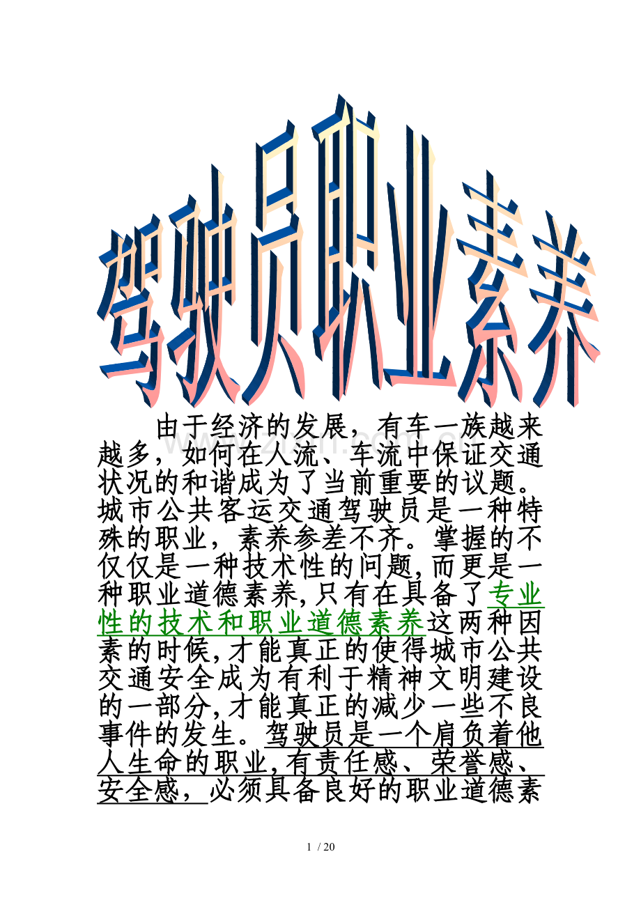 驾驶员职业素养.doc_第1页