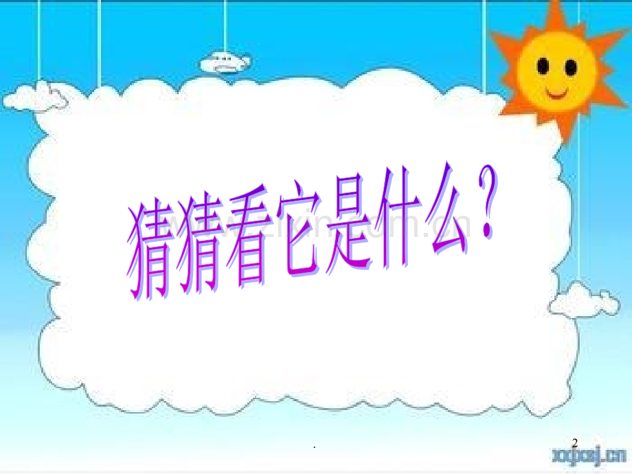 观察小动物-(课堂PPT).ppt_第2页
