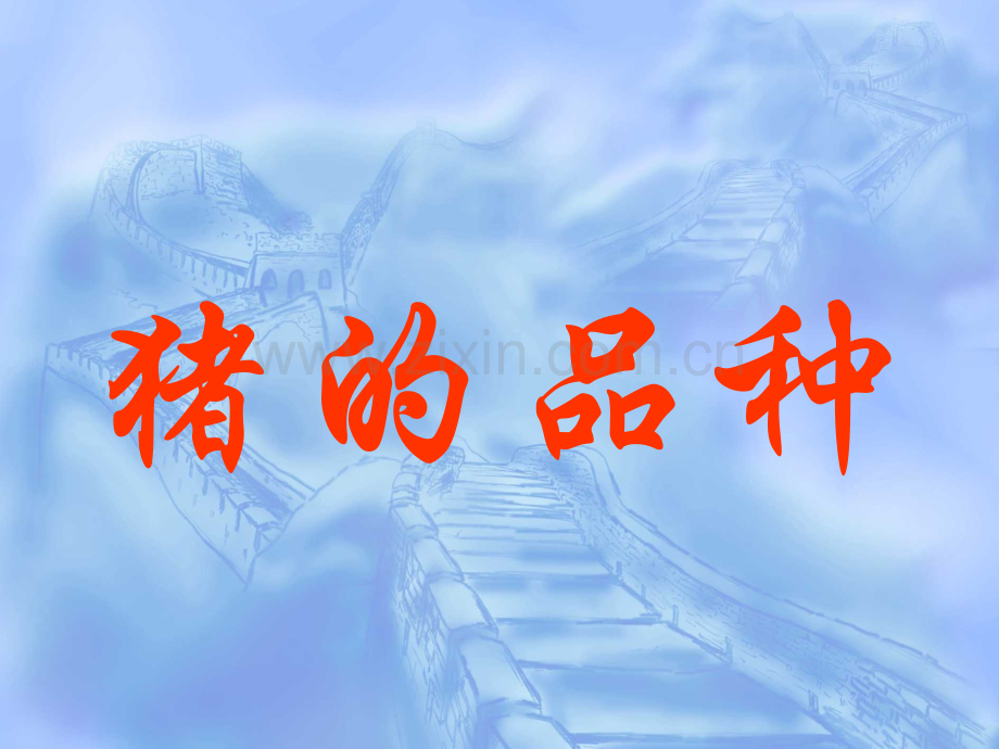 猪的品种.pptx_第2页