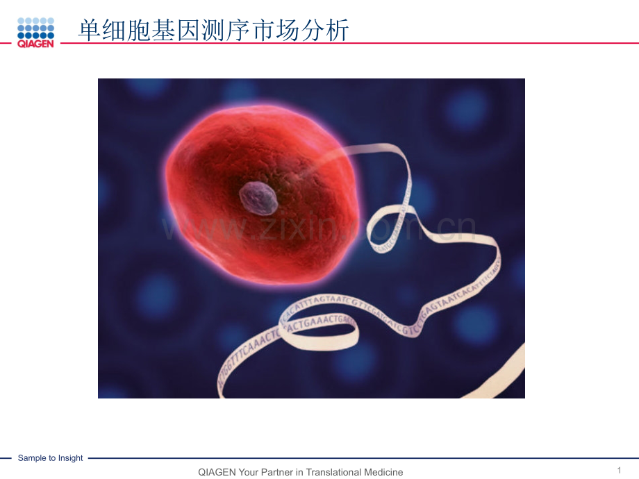 单细胞基因测序市场分析.pptx_第1页