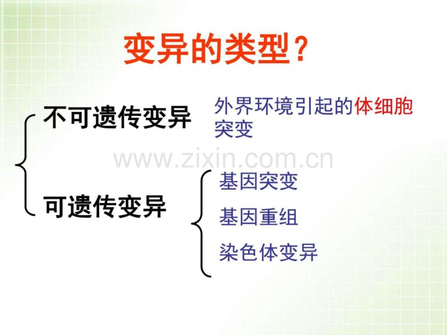 高三生物生物变异复习副本图文.pptx_第2页