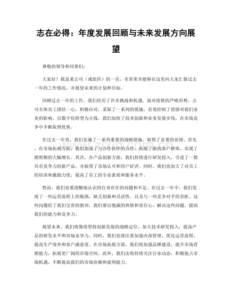 志在必得：年度发展回顾与未来发展方向展望.docx_第1页