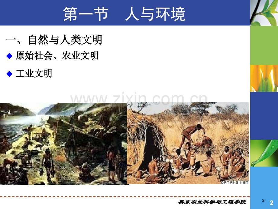 生态与环境.pptx_第2页