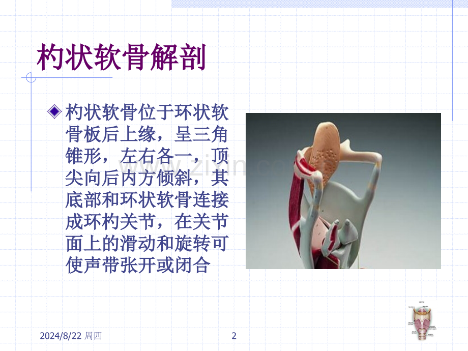 杓状软骨脱原因及处理.pptx_第2页