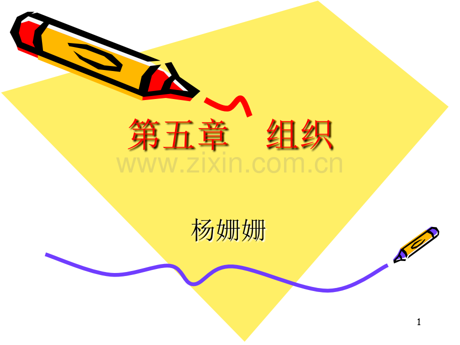 第五章--组织.ppt_第1页