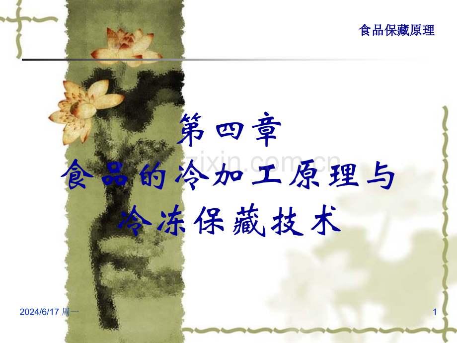 食品的冷加工原理与冷冻保藏技术.pptx_第1页