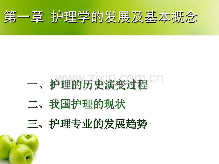 护理学导论护理学的发展及基本概念.pptx_第2页