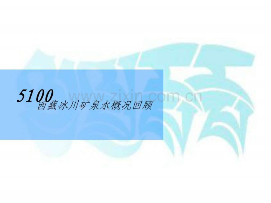 新品上市传播策略及tvc创意提案.pptx_第2页